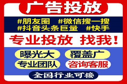 行业领先SEM托管代运营案例